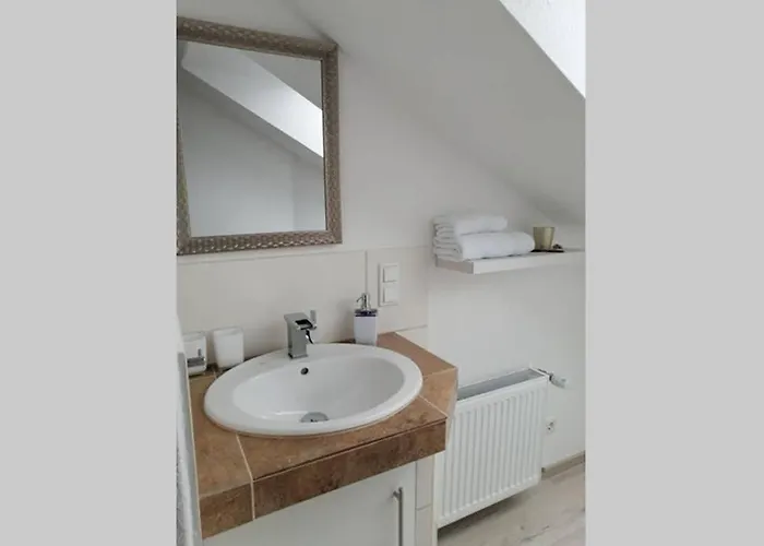 Loewenzahn Mueddersheim