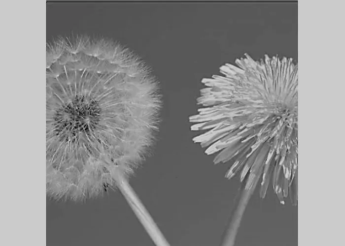 Loewenzahn Mueddersheim Appartamento *