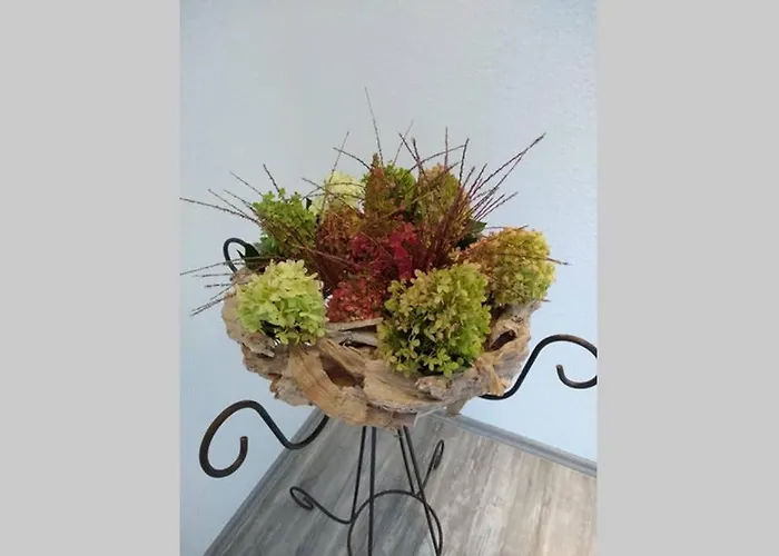 Loewenzahn Mueddersheim Vettweiss