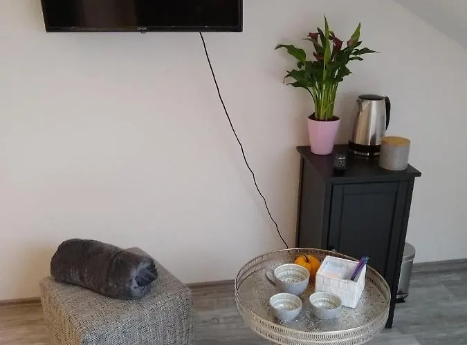 Loewenzahn Mueddersheim Vettweiss